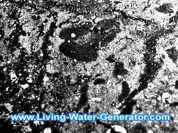unhealthy and distorted not lwg living water structure