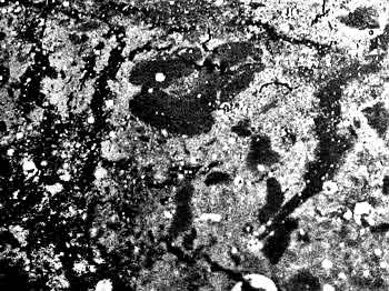 structura apei de robinet